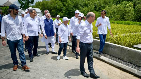 In pics: Together, PM Modi with other G20 leaders plant mangrove saplings in Bali