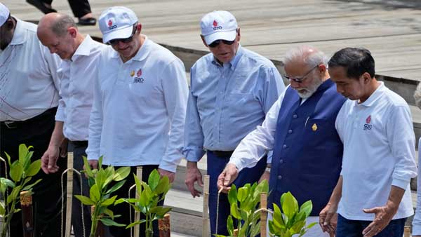 In pics: Together, PM Modi with other G20 leaders plant mangrove saplings in Bali