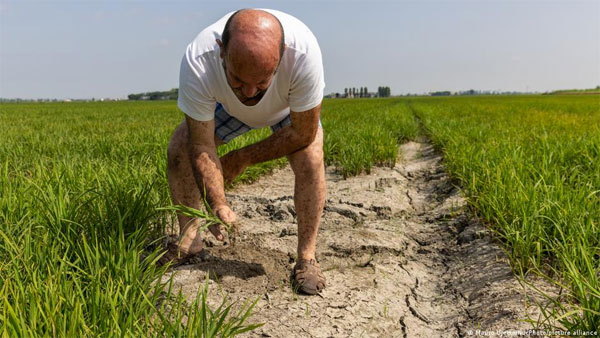 How to protect soil from future drought and heat waves