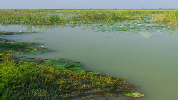 Astonishing..! TN Chief Ministers Master plan for the Wildlife and its Habitats