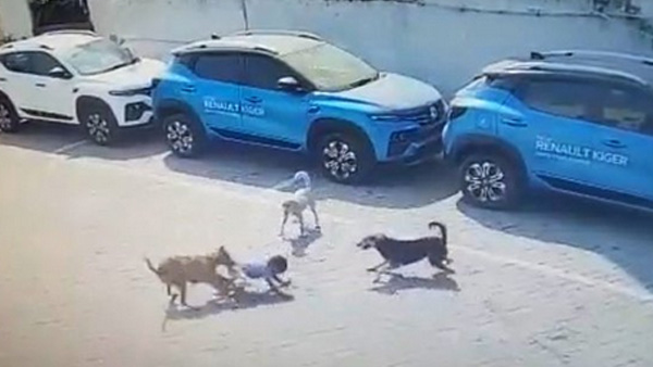 CCTV footage shows 5-year-old mauled to death by street dogs in Hyderabad CCTV footage shows 5-year-old mauled to death by street dogs in Hyderabad
