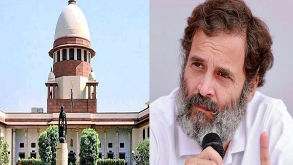 A chilling effect says petition in SC challenging automatic disqualification of elected members A chilling effect says petition in SC challenging automatic disqualification of elected members