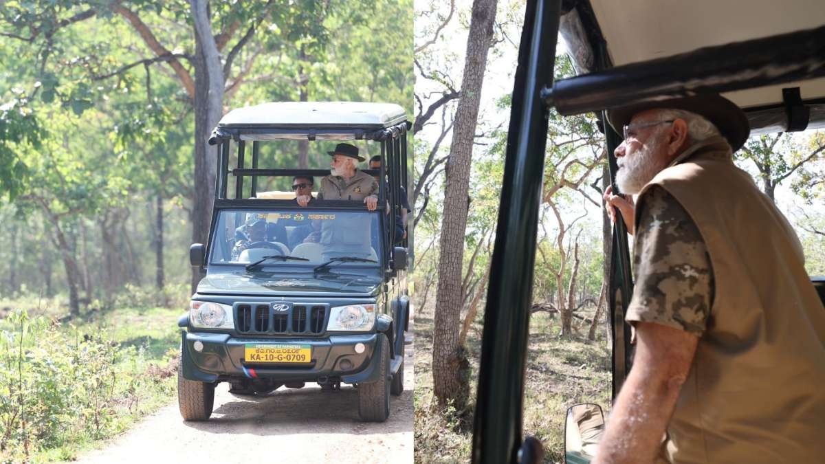 In Pics: PM enjoys Safari ride at Bandipur Tiger Reserve in Karnataka