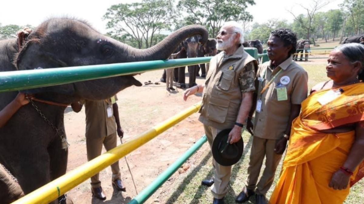 PM Modi meets The Elephant Whisperers couple Bomman, Bellie