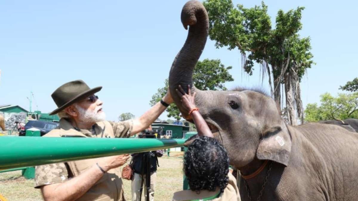 PM Modi meets The Elephant Whisperers couple Bomman, Bellie;
