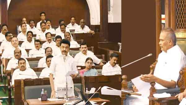 How TN Guv finally gave assent to Bill banning online rummy How TN Guv finally gave assent to Bill banning online rummy