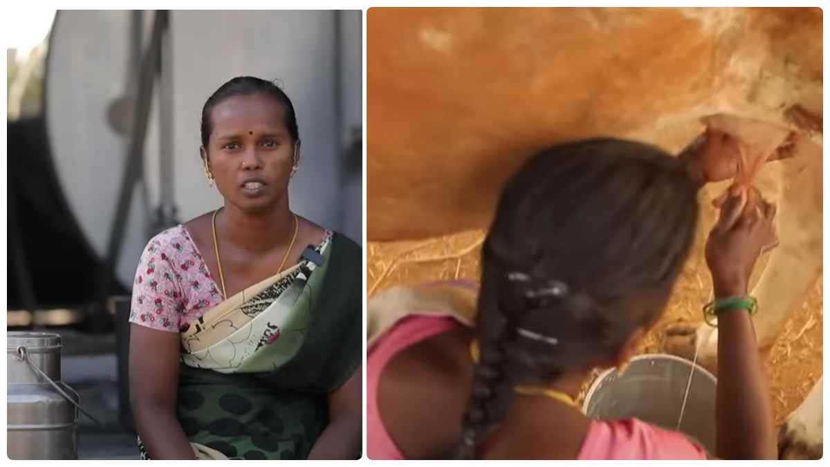 Aavin Societys success story includes 60 lakh milk packets every day!