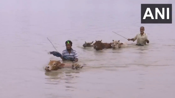Assam: Flood Situation Worsens As Nearly 1.2 Lakh People Hit