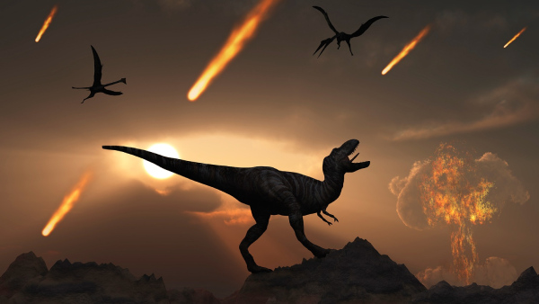 How Humans Ancestors Survived Asteroid Impact That Killed Dinosaurs