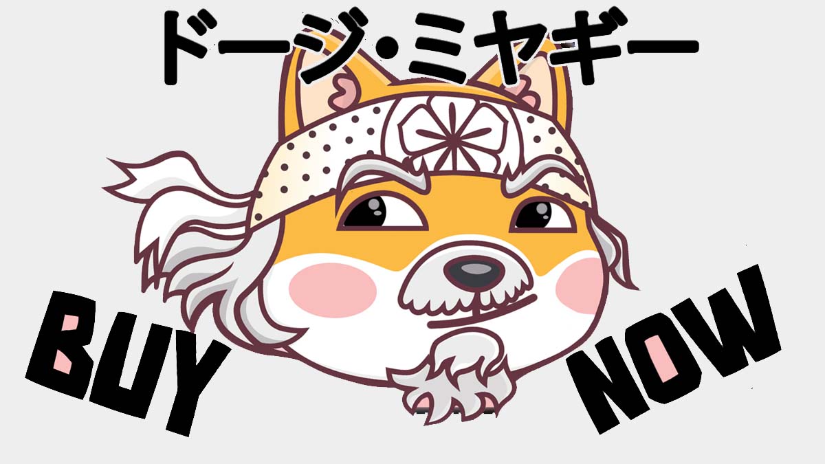 The Importance Of Liquidity In Crypto: DogeMiyagi, Cardano, And Polkadot