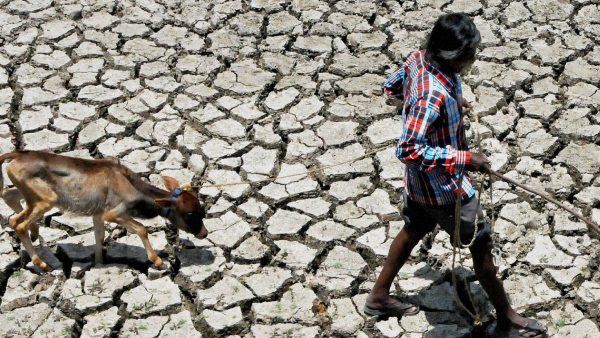 Delayed Monsoon May Push Telangana Into A Drought-Like Situation