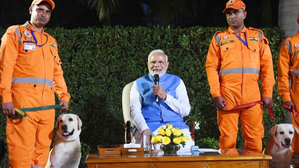 Rescue Dog Julie Who Sniffed Out 6-Year-Old Girl In Quake-Hit Turkey Awarded Rescue Dog Julie Who Sniffed Out 6-Year-Old Girl In Quake-Hit Turkey Awarded