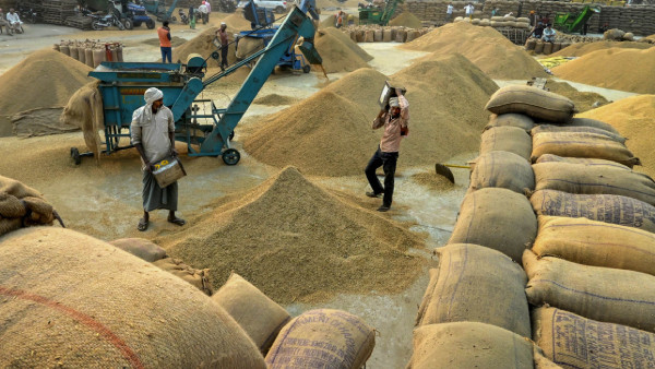 830 LT Paddy Procured Benefiting 1.22 Crore Farmers This Kharif