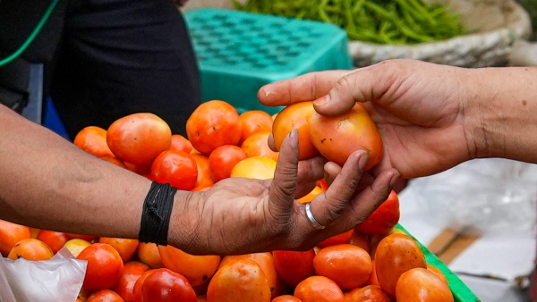Surge In Tomato Price Temporary, Rate Will Cool Down Soon, Says Govt official