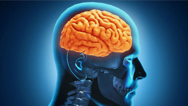 Kerala: 15-Year-Old Killed By Rare Brain Eating Amoeba