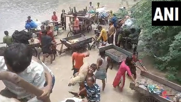 Delhi Flood: How A Few Good Folk Are Saving Animals