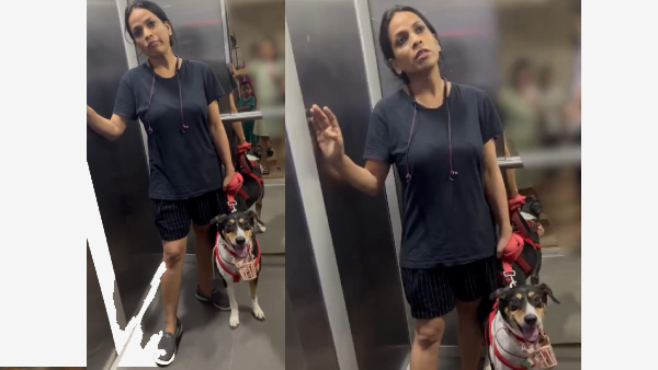 Tumhaari Biwi se Behtar: Viral Video Shows Dog Owner Arguing with Residents inside Lift in Noida Society
