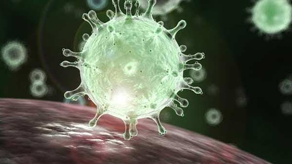 Outbreak Alert: 28-Year-Old Man Test Positive For MERS-CoV Symptoms In Abu Dhabi: Is It Fatal?