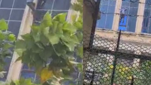 Massive Fire At Greater Noida Shopping Mall; People Jump From 3rd Floor