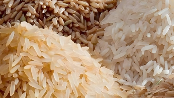 Indias Non-Basmati Rice Ban Move Triggers Panic Buying In US, Canada