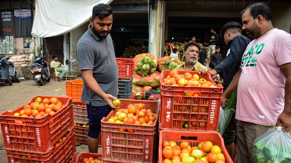 Bouncers To Protect Tomatoes In UP, Free Tomatoes With Smartphone In MP