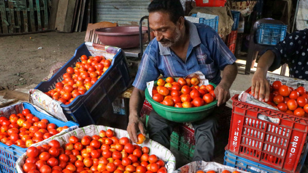 Tomato Price Touches Rs 250 Per KG In Uttarakhand; Check Prices In Your State Tomato Price Touches Rs 250 Per KG In Uttarakhand; Check Prices In Your State