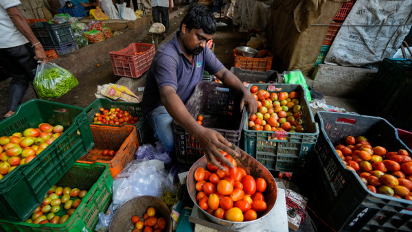 As Price Soars, Centre Set To Procure Tomatoes From Andhra, Karnataka, Maha