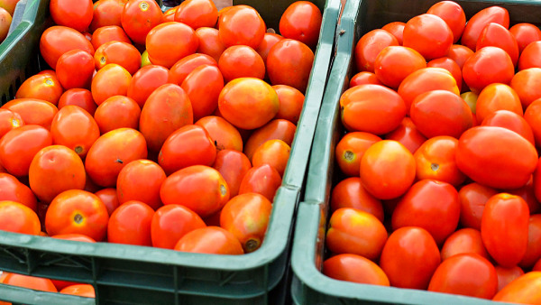 Tomato Prices Likely To Touch Rs 300 Per Kg In Weeks Ahead