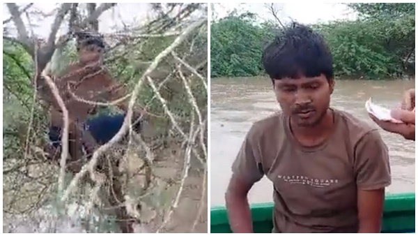 This Man Sat On Tree For 22 Hours To Save Life From Yamuna Flood