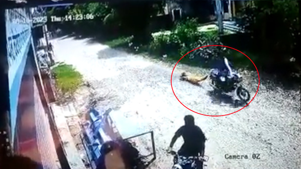 Caught On Camera: 20-Year-Old Woman Killed By Father In Amritsar, Body Dragged Through Village
