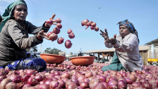 After Tomatoes, Could An Onion Crisis be Looming?