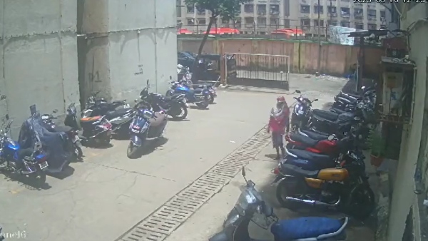 Caught On Camera: Woman Throws Acid On Dog For Bothering Cats, Leaving Severe Injuries Caught On Camera: Woman Throws Acid On Dog For Bothering Cats, Leaving Severe Injuries