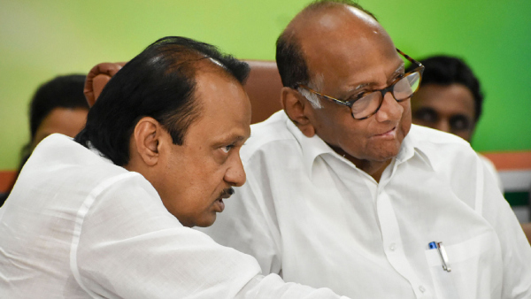 2 Offers Before Sharad Pawar To Join NDA As NCP Supremo Gears Up For State Wide Tour