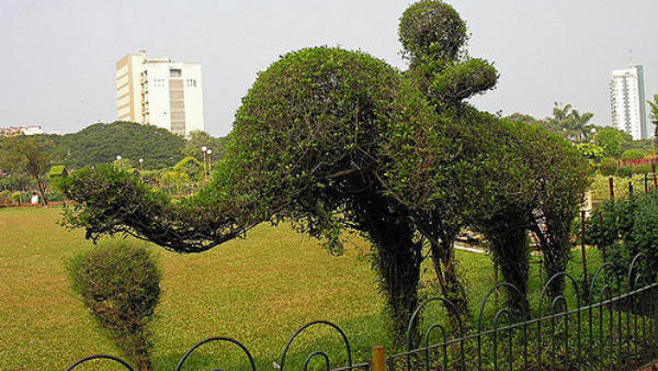 Hanging Gardens Of Mumbai To Shut Down In A Phased Manner For 7 Years