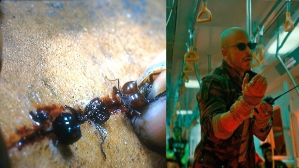 Jawan: Did Shah Rukh Khans Movie Copy This Scene From Apocalypto? 