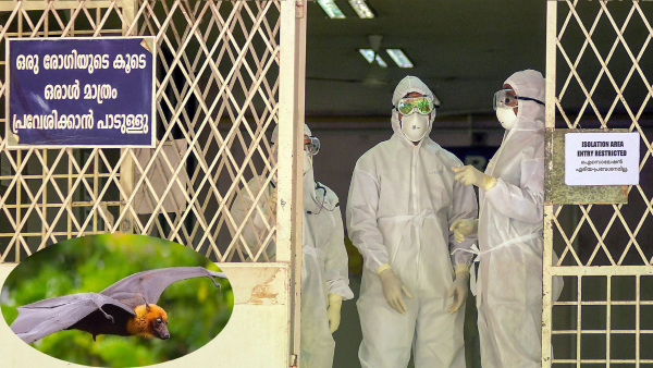 Nipah Virus Alert In Keralas Kozhikode After 2 Unnatural Deaths, Another Critical Nipah Virus Alert In Keralas Kozhikode After 2 Unnatural Deaths, Another Critical