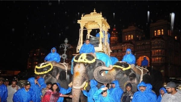 Mysuru Dasara: Abhimanyu, 57-Year-Old Tusker To Lead 2023 Jumbo Squad With Four New Elephant Mysuru Dasara: Abhimanyu, 57-Year-Old Tusker To Lead 2023 Jumbo Squad With Four New Elephant