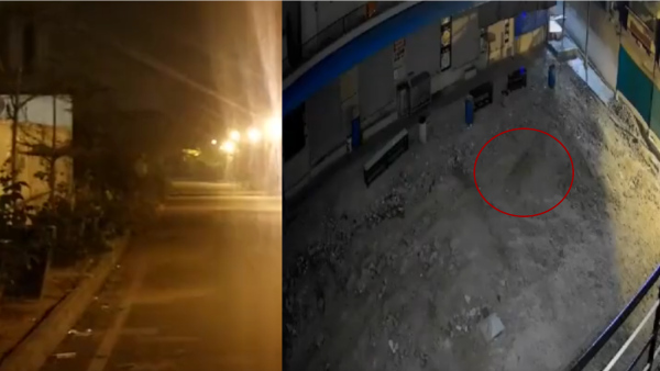 Big Cat On The Loose: Leopard Spotted Yet Again Near IT Park In Kudlu, Residents Panic