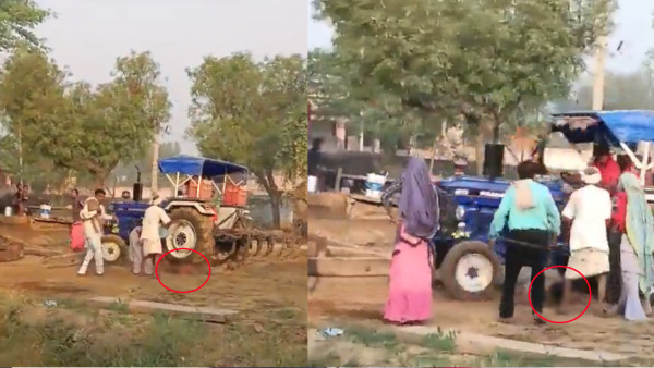 Caught On Cam: Man Kills Brother By Running Over Tractor; People Record The Video