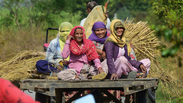 On World Rural Women’s Day, a secret is brewing in India’s villages and fields