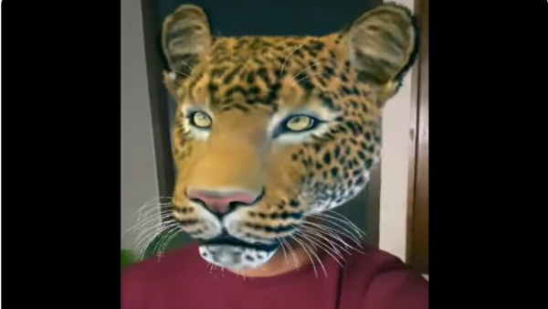 Danish Saits Comic Take On Leopard Sighting In Bengalurus Kudlu Gate Goes Viral