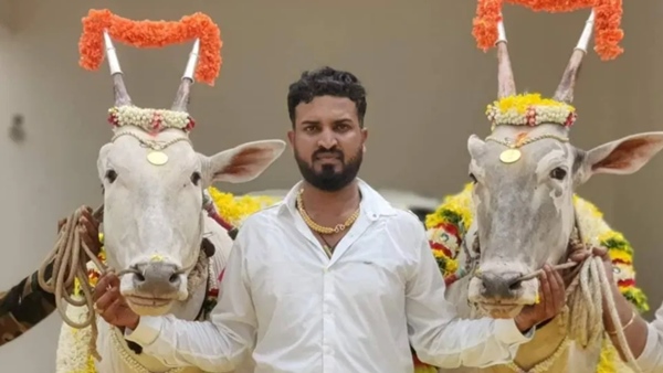 Bigg Boss Kannada 10 Contestant List: Check Complete Profiles With PICS