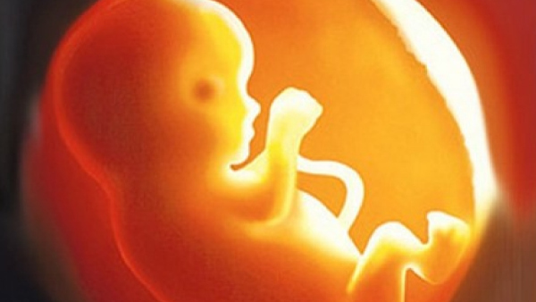 Bengaluru Police Arrest Doctor, Technician For Allegedly Performing 900 Illegal Abortions