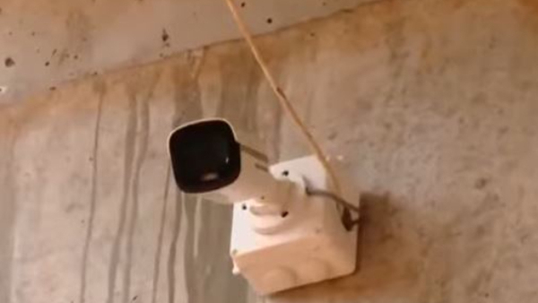 An AI Tool To Prevent Elephant Deaths In Railway Tracks