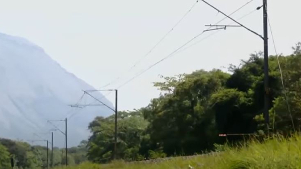 An AI Tool To Prevent Elephant Deaths In Railway Tracks