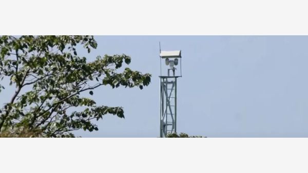 An AI Tool To Prevent Elephant Deaths In Railway Tracks