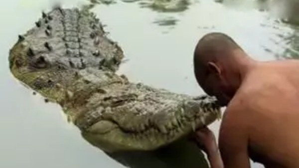 One Year Later, New Crocodile Shocks Devotees At Anantha Padmanabhaswamy Temple