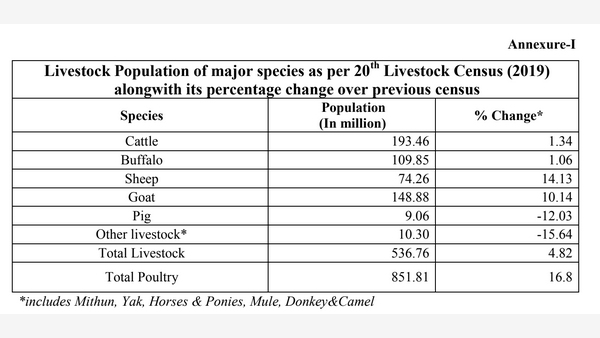 As Stray Cow Menace Grows UP Govt Announces Cow Census