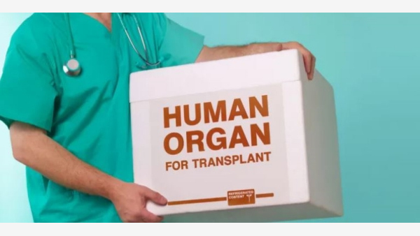 With One Announcement, Organ Donation Skyrocketed In Just 5 Weeks