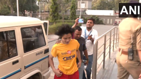 Who Is The Man Who Breached Security With Pro-Palestine Message During Ind Vs Aus World Cup Match?